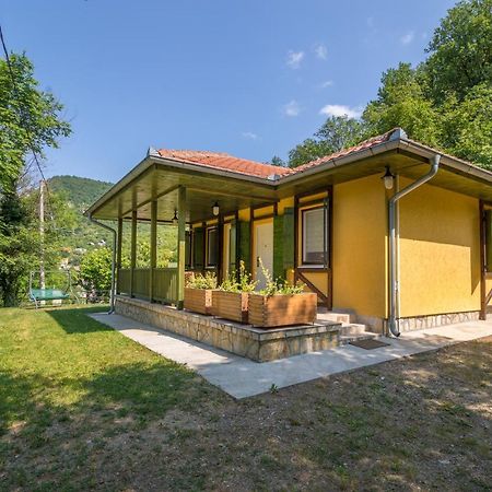 Vila Camelia Golubac Zewnętrze zdjęcie