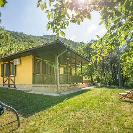 Vila Camelia Golubac Zewnętrze zdjęcie