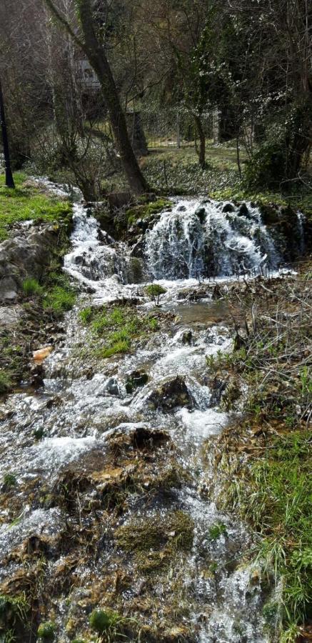 Vila Camelia Golubac Zewnętrze zdjęcie