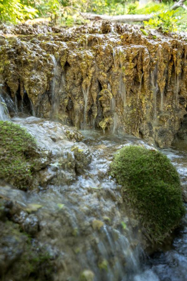 Vila Camelia Golubac Zewnętrze zdjęcie